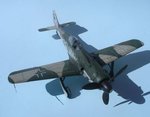 8_Fw190D-9_Black 4_6290.JPG