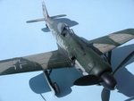 9_Fw190D-9_Black 4_6291.JPG