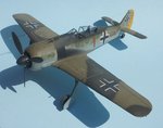 3_Fw190A-1_Brown 1_0028.jpg