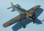 4_Fw190A-1_Brown 1_0026.jpg