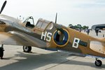 P40 10.jpg