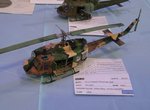 9_RAAF Iroquois-Barracuda__5307.JPG
