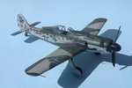 13_Fw190D-9_Black 4_6299.jpg