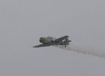 snj_276.jpg