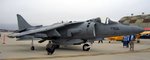 harrier_110.jpg