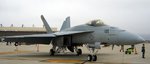hornet_182.jpg