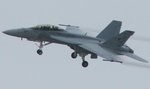 hornet_376.jpg
