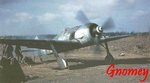 gnomey_-_focke-wulf_fw190_on_the_ground_131.jpg