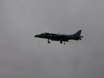 harrier_-_hover_430.jpg