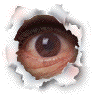 eyeflash_763.gif