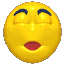 happy_face_sleeping_lg_clr_146.gif