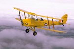 tiger_849.jpg