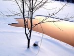 18_847.jpg