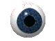 eyeball_186.gif