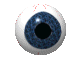 eyeball_186.gif