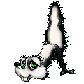 skunk_153.gif