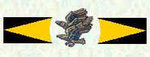 11_sqdn_marking_600.jpg