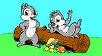 chipmunk_631.gif
