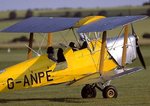 tiger_moth_156.jpg
