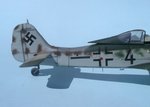 22_Fw190D-9_Black 4_6323.jpg