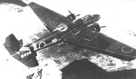 Mitsubishi G3M Nell 002.jpg