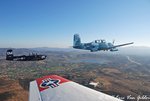 DSC_7894.jpg