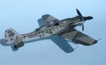 25_Fw190D-9_Black 4_6328.jpg