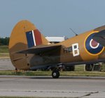Tail Detail.jpg