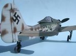 33_Fw190D-9_Black 4_6758.jpg
