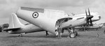 Short Sturgeon 003.jpg
