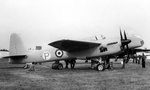 Short Sturgeon 004.jpg