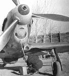 yak1b-9.jpg