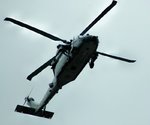 DSC_1981.JPG