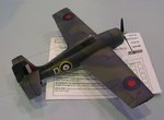 9_Martlet_4810.jpg