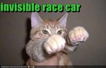 funny-pictures-cat-drives-an-invisible-racecar1.jpg