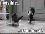invisible128584857553816486.jpg