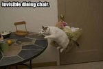 invisible-dining-chair.jpg