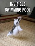 invisible-swimming-pool.jpg