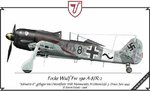 fw190_maximowitz.jpg