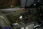 mg3.jpg