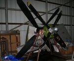 mg11.jpg