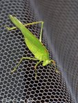 DSC_8141.jpg