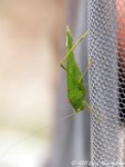 DSC_8143.jpg