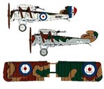 Sopwith Buffalo.jpg