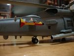 DSC04753.jpg