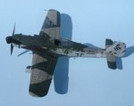 50_Fw190D-9_Black 4_6791.jpg