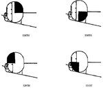TailMarkings-20.jpg
