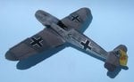 126_Flat coat applied_7420.jpg