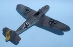 127_Flat coat applied_7424.jpg