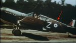 Milne Bay P-40 Z 001 resized.jpg
